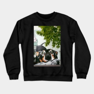 Graffiti Dog! Crewneck Sweatshirt